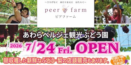 あわらのぶどう園に行こう！
