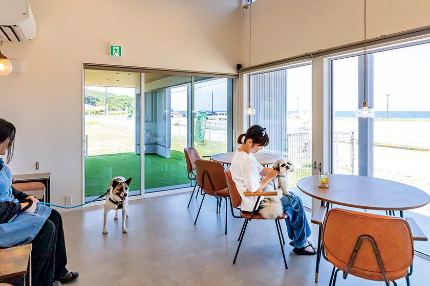 ドッグラン＆カフェ DOG HARBOR（ドッグハーバー） サブ画像