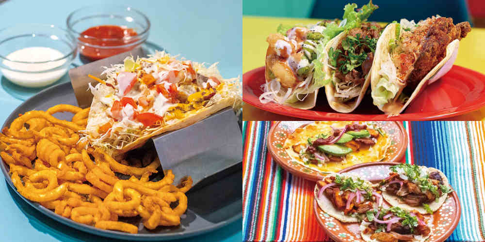 【福井】ジューシーでスパイシーなテクスメクス7選！旨味溢れる本格タコスやメキシカンサラダまとめ