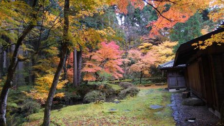 名勝「梅田氏庭園」秋の特別公開（11月6日～8日）