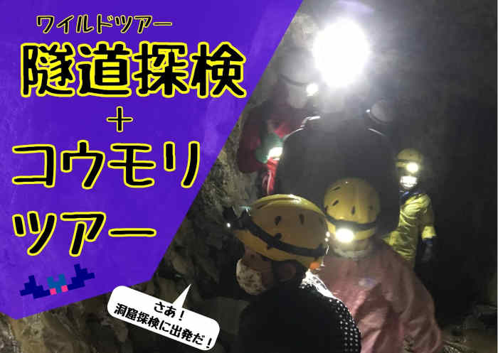 ワイルドツアー　隧道探検＋コウモリツアー メイン画像