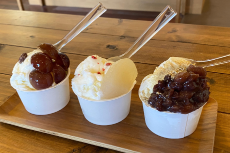 【新店レポ】発酵ジェラート店「niu.gelato」が越前町に誕生！味噌工房が手掛けるコクうまジェラートを堪能できます！